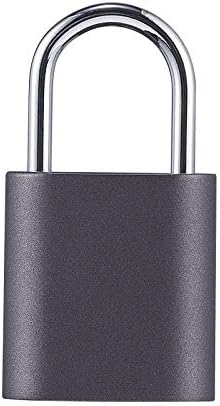 Fingerprint Lock Smart Mini Padlock IPX7 Waterproof Fingerprint Recognition for Door Luggage Locker School Bag Backpack (Color : C) (Red)