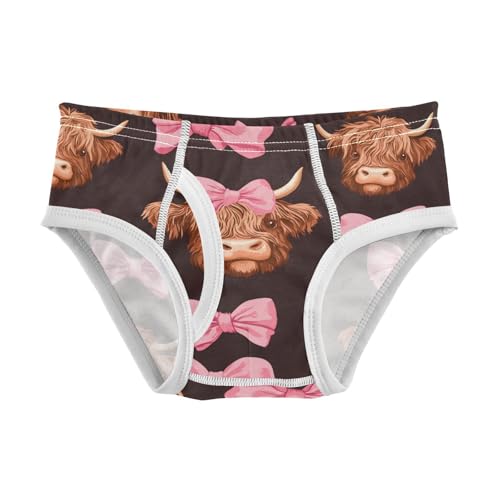 Highland Cows Bows Toddler Boy's Underwear 2T 202c0139