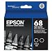 Epson T068120-D2 DURABrite Ultra Black Dual Pack High Capacity Cartridge Ink