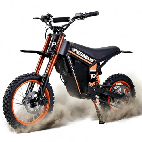 YAZTOR Electric Dirt Bike
