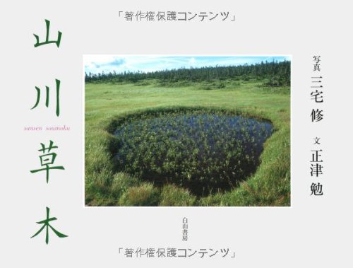 山川草木