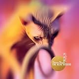 immagine banner Amazon