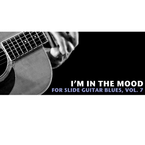 Amazon MusicでVARIOUS ARTISTSのI'm in the Mood Slide Guitar Blues, Vol. 7を再生する
