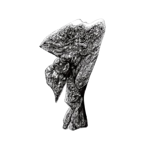 第一夜 "模索”