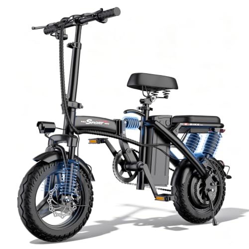 Xathquia 1200W Peak Motor E-Bike