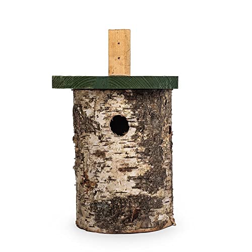 Nichoir en bois de bouleau 32 mm pour observer les mésanges