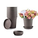 TRUEDAYS 10 PCS 1 Gallon Plastic Garden Flower Pots Seeding Plant Container Nursery Pot with Saucers Coffee