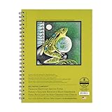 Bee Paper Recycled Sketch Pad, 9-Inch by 12-Inch (837S50-912)