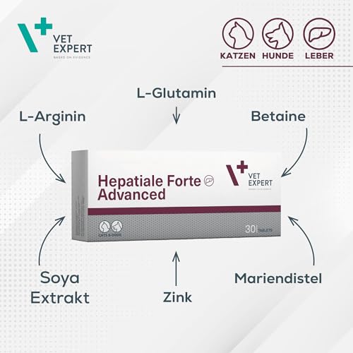 VetExpert Hepatiale Forte | 40 Tabletten | Ergänzungsfuttermittel für Hunde und Katzen