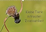 Kleine Tiere in trauter Zweisamkeit (Wandkalender 2020 DIN A3 quer): 13 verschiedene Makroaufnahmen von Insekten, Schnecken und Amphibien bei der Paarung. (Monatskalender, 14 Seiten ) (CALVENDO Tiere) - Christine Schmutzler-Schaub