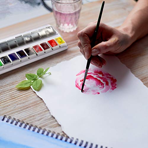 Sennelier La Petite Aquarelle 12 10 ml Tubes