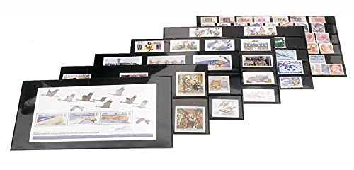 Cartes de rangement Lindner 775 avec bandes de protection transparentes