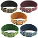 Ancol Timberwolf Lederhalsband Whippet Leder Halsband Raspberry 30-34cm