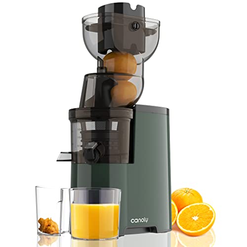 Masticating Juicer, 250W Professional Slow Juicer with 3.5-inch (88mm)...