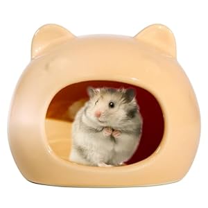 Woleigiao Hamsterhaus BF516 Dekoration Orange