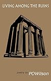 Living Among the Ruins (English Edition)