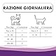 PHARMACINQUEPET – Hepatic5 | Unterstützung der Verdauung und der Leber für Hunde und Katzen | Leberfunktion und Verdauung | 30 Tabletten