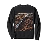 Clever Witty Auger Designs