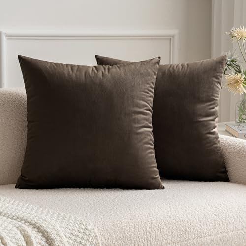 MIULEE Pack of 2 Velvet Soft Decorative Square Throw Pillow Case ...