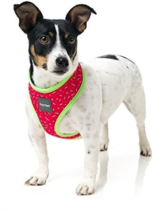dog harness fuzzyard