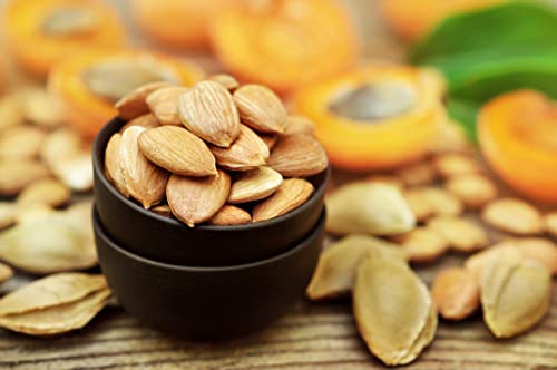 Organic Traditions Organic Apricot Seeds Organic Bitter Apricot Kernels, Non-GMO Vegan Apricot Seeds, 1/2 lb (8oz) - Thumbnail 3