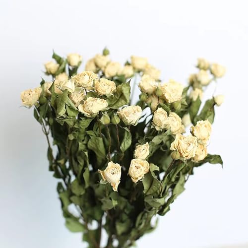 Natural Dried Flowers Bouquet Mini Dried Roses White for Wedding Table Vase Decor Boho DIY Wreath Floral Home Office Party Garden Decoration