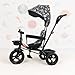 Luusa Galaxy Edition Gt-500 Tricycle Plug and Play | Tricycle with Height...