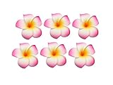 Damen Mädchen Haarspangen, 6 cm, Frangipani-Blume, Schaumstoff, für Hochzeiten, Strandpartys, Dekoration, 12 Stück