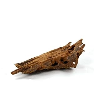 Bachflohkrebse Mangrovenwurzel 12-15cm Aquarium Deko