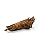 Bachflohkrebse Mangrovenwurzel für Aquarien und Terrarien 12-15 cm Wurzel Mangroven