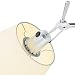 Tolomeo de Artemide lámpara de pared difusora 24 Papel Pergamino