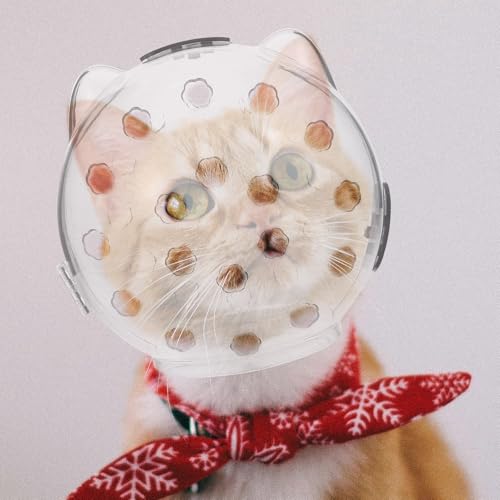Casco transparente para gatos de material ABS resistente de alta gama 6