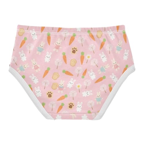 Bunny Rabbit Carrot Dandelion Toddler Girls's Underwear 2T 23006602