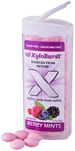 Xyloburst Sugar-Free Xylitol Mint Candy Jars, 60 Pieces Per Jar - Pack Of 8 (Berry) #TOP2