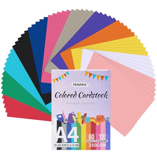 Cartulina Colorida - 60 Hojas 12 Colores Cartulina Color A4 Tamaño Papel Cartón 250gsm/92lb Cartulina Pesada para Impresora, Fabricación de Tarjetas, Artesanía DIY, Álbumes de Recortes PAC06MX1