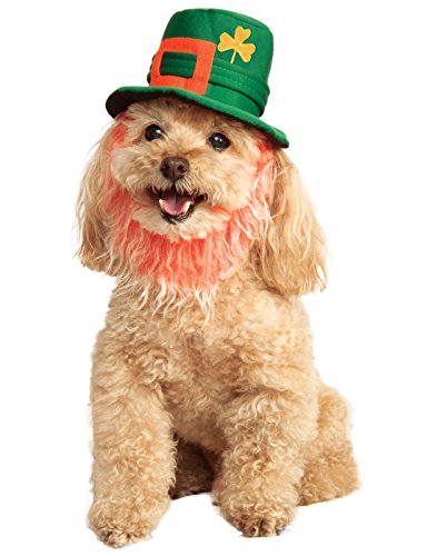 Rubie's St. Patty's Day Pet Costume Hat with Beard, Small/Medium