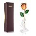 ZJchao for Her, Love Forever Long Stem Dipped 24k Gold Foil Trim Rose, Best Gift for Valentine's Day, Mother's Day, Anniversary, Birthday Gift (Red)