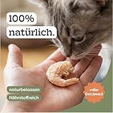 Riesengarnelen Gefriergetrocknet für Hunde und Katzen, 85,3% Protein, Natürlich ohne Konservierungsstoffe, Ideal als Snack oder Barf Zusatz