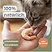 Riesengarnelen Gefriergetrocknet für Hunde und Katzen, 85,3% Protein, Natürlich ohne Konservierungsstoffe, Ideal als Snack oder Barf Zusatz