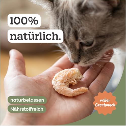 Riesengarnelen Gefriergetrocknet für Hunde und Katzen, 85,3% Protein, Natürlich ohne Konservierungsstoffe, Ideal als Snack oder Barf Zusatz