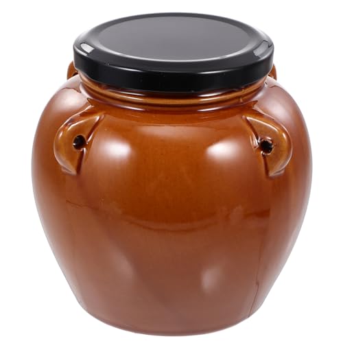 PATKAW Tarro de Cerámica para Almacenamiento con Tapa Hermética, Gran Capacidad y Diseño, Adecuado para Conservar Encurtidos Hogar o Hotel