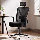 Dowinx オフィスチェア デスクチェア 145°リクライニング 肥満者向け 3Dアームレスト 通気メッシュ 人間工学 厚クッション イス テレワーク 疲れない 3Dヘッドレスト 可動式ランバーサポート パソコンチェア ソファの座り心地 ゲーミングチェア エルゴノミクスチェア 墨色 LS-66W4-01