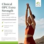 Terry Naturally Clinical OPC Extra Strength - Cardiovascular Health & Focus Support - Supplement with Grape Seed Extract - Immune Support Supplement - 60 Softgels - Image 3