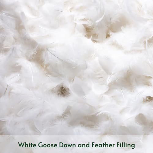 Otostar JC-YRZX Pack Of 2 Down And Feather Throw Pillow Inserts thumb #2