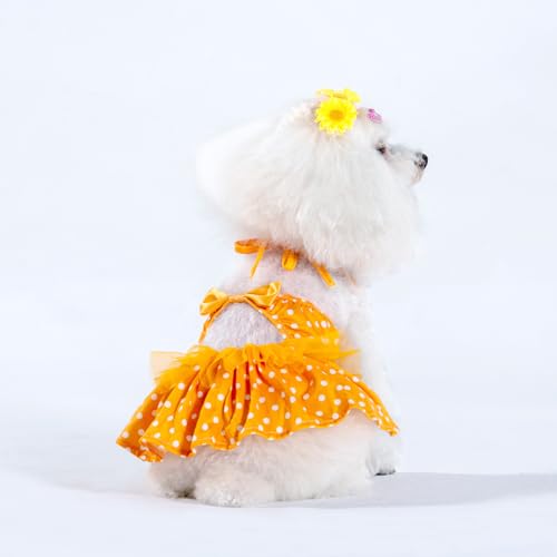 Image of CuteBone One Piece Dog Bikini Swimsuit Dress - Puppy Bathing Suit Costume for Small Dogs - Comfortable & Stylish Pet Clothes for Summer Pool, Beach & Play LTDB03S
