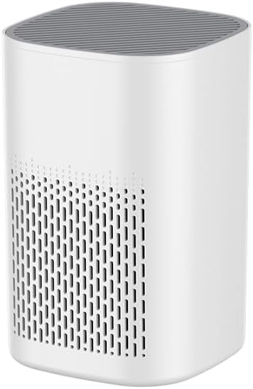Small Air Purifier for Home Bedroom, HEPA Filter Air Cleaner, Quiet Operation, Removes Dust, Smoke, Odor, Pollen & Pet Dander