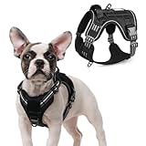 rabbitgoo Tactical Dog Harness for Small Dogs, No Pull Military Service Vest with Handle & Molle, Easy Control for Training Walking, Adjustable Reflective Straps, Black, S