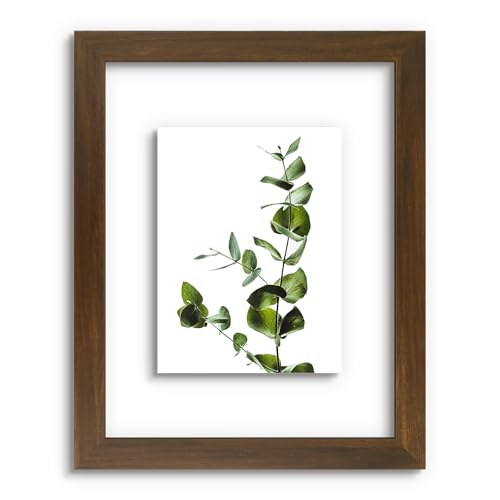 Golden State Art, 11x14 Floating Picture Frame, Brown Wood Frame Display Any Size Photo Up to 11X14, Pressed Flower Frame with Hanging Hardware - Horizontal & Vertical Format for Wall (1 Pack)