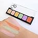 Correct & Conceal Camouflage Cream Pallet