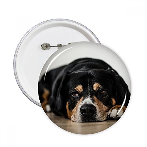 Bouton vêtements décoration avec photo de chien pour personnaliser